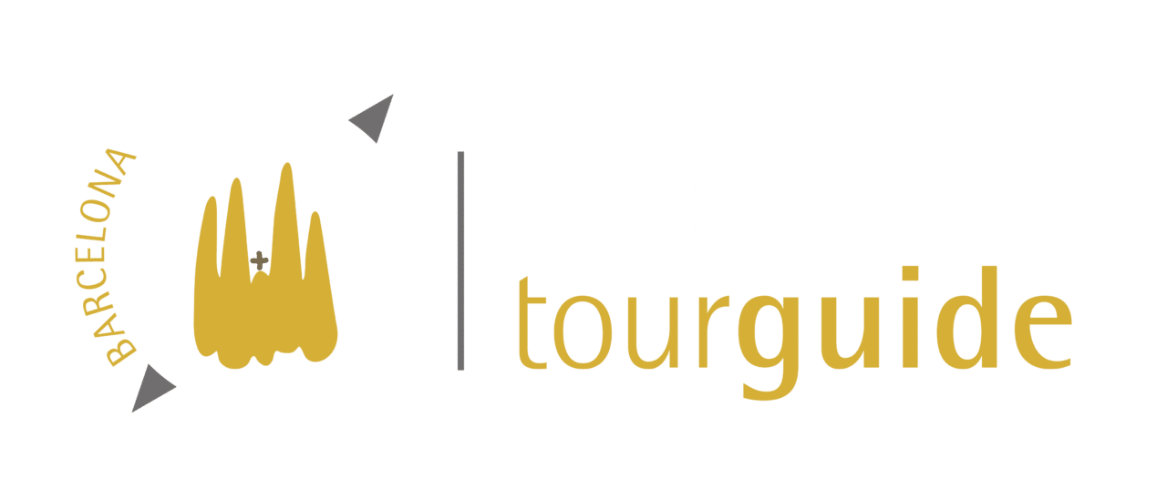 Barcelona visual data 3