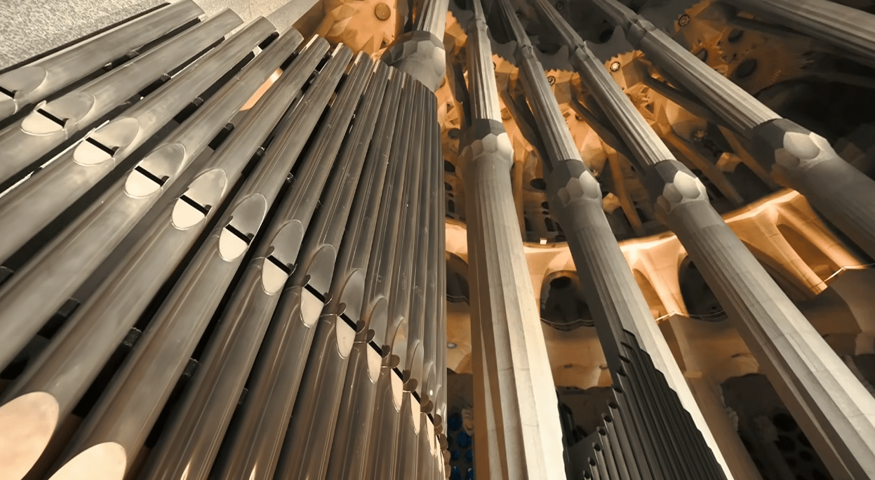 The tree-like columns inside the Sagrada Familia designed by Antoni Gaudí.